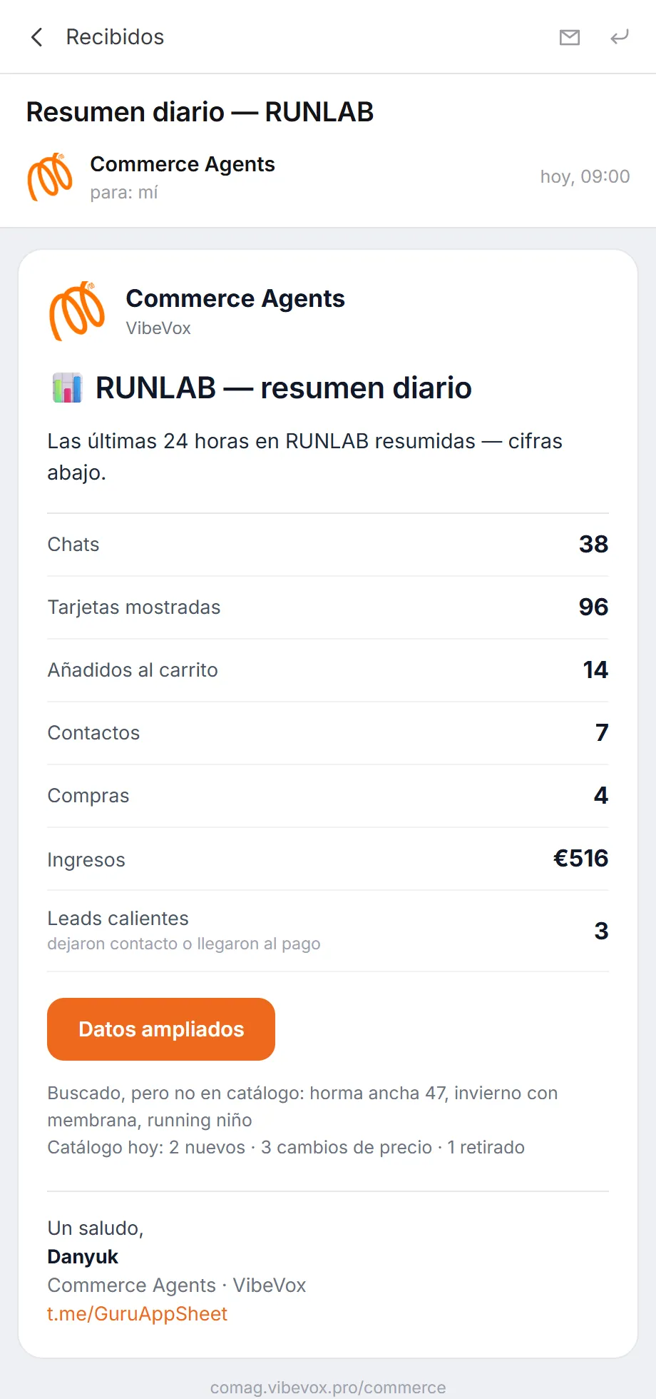 Email matutino con el resumen diario: chats, pedidos, compras y búsquedas sin respuesta